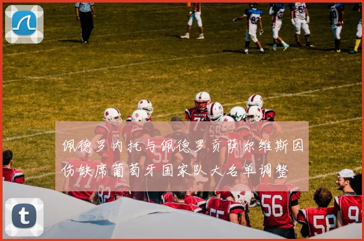 佩德罗内托与佩德罗贡萨尔维斯因伤缺席葡萄牙国家队大名单调整
