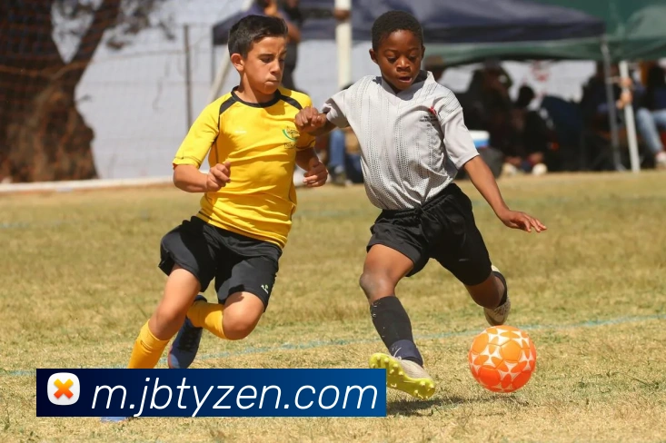 金博体育APP 封面图